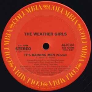 The Weather Girls ‎– It's Raining Men 12 inch Maxi Single LP Record